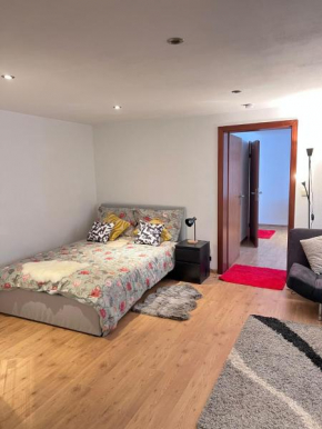 Cozy Flat near Maastricht Heerlen Aachen